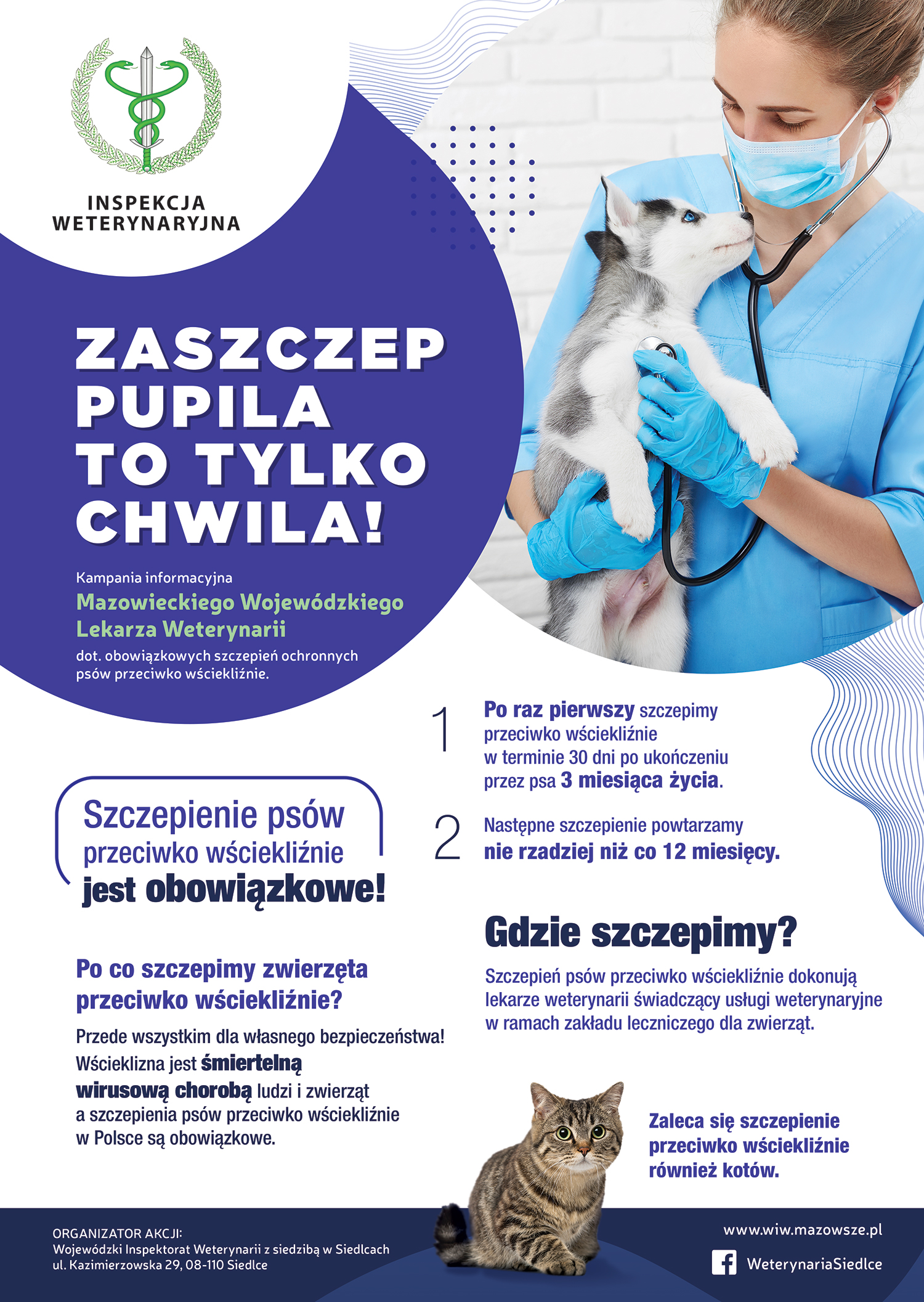 Plakat dotyczący szczepień zwierząt domowych