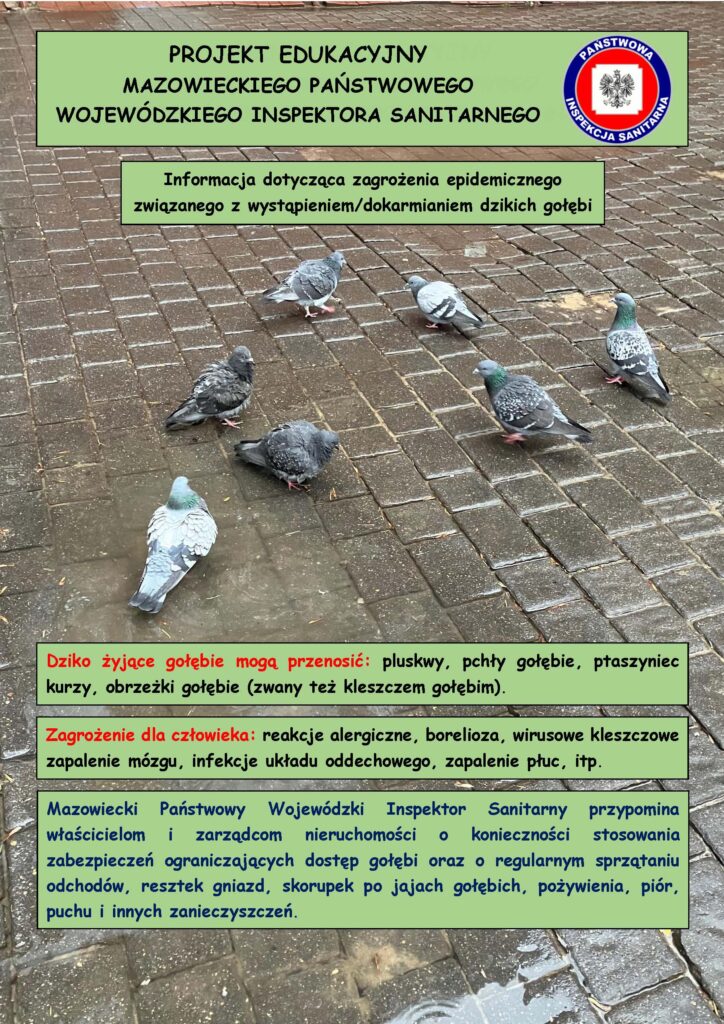 plakat Informacja dotycząca zagrożenia epidemicznego związanego z wystąpieniem/dokarmianiem dzikich gołębi